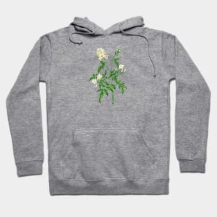 Jasmine 2 Botanical Hoodie